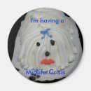 Search for crisis magnets Humour