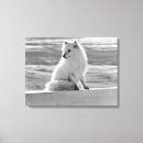 Search for arctic fox art Alaska