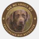 Search for chesapeake stickers Chesapeake bay retriever
