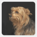 Search for profiling stickers Nature