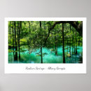 Search for albani posters River