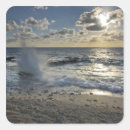 Search for cayman island stickers Nature