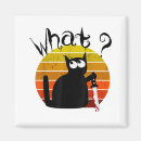 Search for witness magnets Halloween