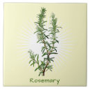 Search for herbe 6x6 tiles Rosemary