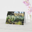 Search for snowdrop flower cards Nature
