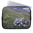 Search for clear laptop cases Colourful