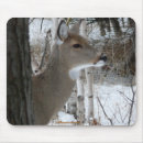Search for doe electronics Trees