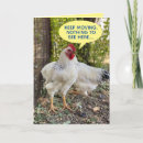 Search for funny farm birthday cards Rooster