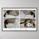 Search for veterinarian posters Funny