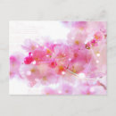 Search for cherry tree postcards Blossom