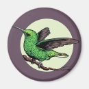 Search for hummingbird magnets Nectar