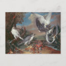 Search for falconer postcards Hawk