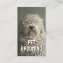 Search for pet portrait business cards Dog walker