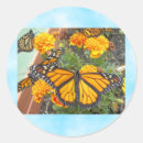 Search for easter craft stickers Butterfly