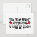 Search for fresh postcards Strawberries