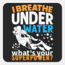 Search for no diving stickers Pool