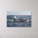 Search for killer canvas prints Whale