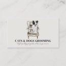 Search for sofa business cards Pet sitting