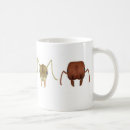 Search for ants mugs Insects