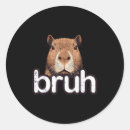 Search for funny safety stickers Meme