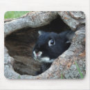Search for hollow mousepads Cute animals