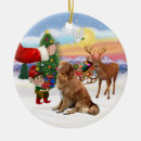 Search for tolling Pets