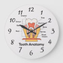 Search for anatomy clocks Health