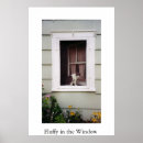 Search for fluffy posters Flowers