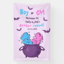 Search for gender reveal banners He or she