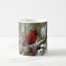 Search for cardinal photo mugs Birds