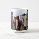 Search for horse hair mugs Horses