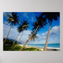 Search for domingo art Caribbean