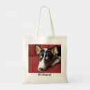 Search for basenji accessories Pets