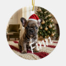 Search for best dog dad christmas tree decorations For pets