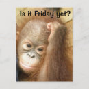 Search for i hate postcards Cute
