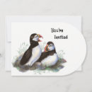 Search for puffin invitations Party