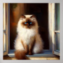 Search for himalayan cat posters Kitten