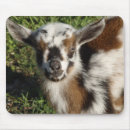Search for goates mousepads Pet