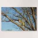 Search for african safari puzzles Lion