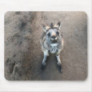 Search for joey mousepads Kangaroo