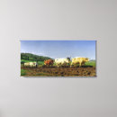 Search for oxen art Field