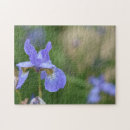 Search for iris flower gifts Nature