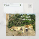 Search for tough postcards Cat