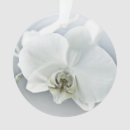 Search for white orchids christmas tree decorations Floral