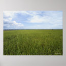 Search for rice posters Green