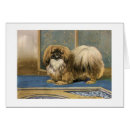 Search for pekingese dog cards Pets