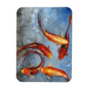 Search for koi magnets Animal