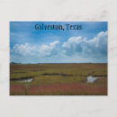 Search for galveston postcards Texas