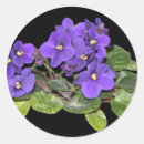 Search for violet stickers Colour