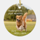 Search for tribute pet memorials Dog memorial
